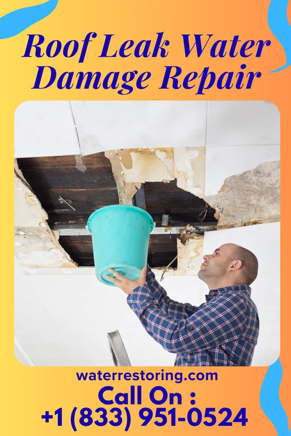 Roof Leak Water Damage Repair in Toledo, WA